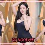 dj nooknik 31