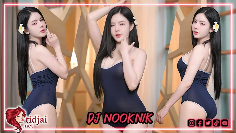 dj nooknik 31