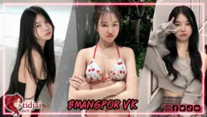 bmangpor vk 31